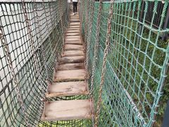 -梦幻奥陶纪景区