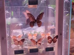 -陕西自然博物馆