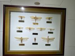 -上海昆虫博物馆