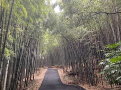 -苏州环秀晓筑养生度假村