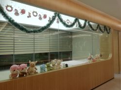 点击看大图 -宝生月子中心·独栋独院式(南山店)