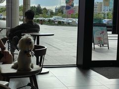 -星巴克(佛山顺德大融城店)