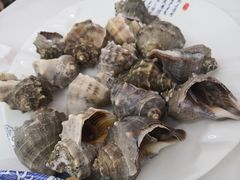 清蒸小海螺-北戴河庆山饭店·海鲜砂锅粥(北戴河黑石路店)