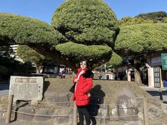 鹿儿岛县立吉野公园 图片 鹿儿岛 大众点评网