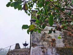 -飞霞风景名胜区