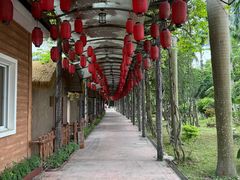 -揭东万竹园旅游景区