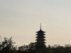 -宜兴龙背山森林公园