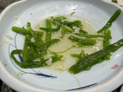 -阿巧茶庄