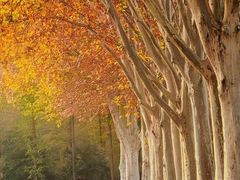 -河南省黄河迎宾馆