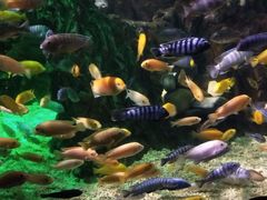 -太平洋海底世界