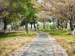 -苏州太湖国家湿地公园