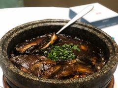 -海派美食·家宴海鲜青岛菜·石锅鲽鱼头(东方城店)