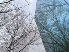 -龙美术馆(西岸馆)