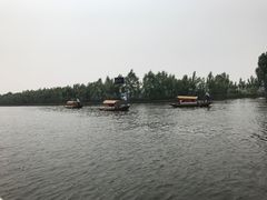 -白洋淀景区