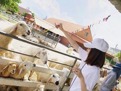 -成都恒博医院·全科检查