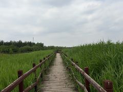 -西青郊野公园