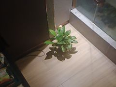 -耳域躺式采耳SPA馆(新街口店)