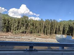 -御道口草原森林风景区