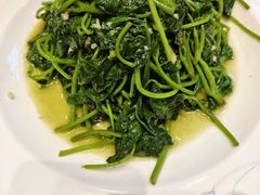-百年家风·老馆子(东风店)