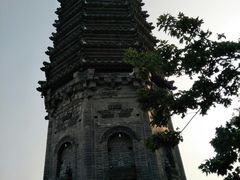 -高尔山公园