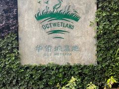 -华侨城湿地公园