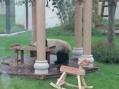 -无锡动物园·太湖欢乐园
