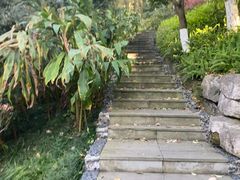 -龙头寺公园