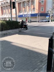-金太子形象设计