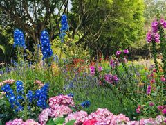 -深圳国际园林花卉博览园