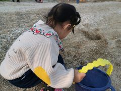 -日照海滨国家森林公园