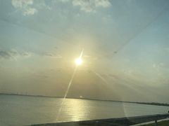 -漕湖湿地公园