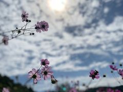 -黄龙山原始森林景区