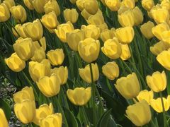 -长春公园(普阳街道)