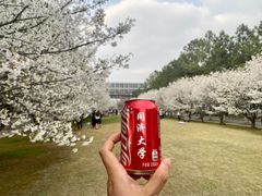 -同济大学(嘉定校区)