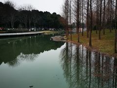 -昆山城市生态森林公园