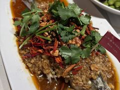 -杨氏青龙虾·羊蝎子(托乐嘉店)
