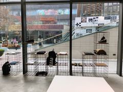 -迪桑特DESCENTE(北京三里屯BLANC店)