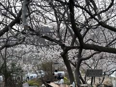-大连北马山庄