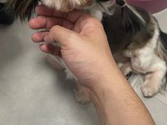 -BABYDOG宝贝狗宠物乐园(欧洲城店)