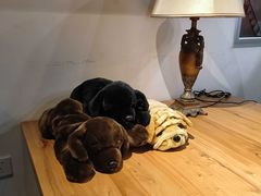 -欧典咖啡屋(台东店)