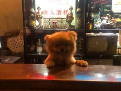 -北戴河庆山饭店·海鲜砂锅粥(北戴河黑石路店)