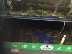 -阳澄湖大闸蟹·琼灵阁牌品牌连锁(吴中总店)