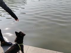 -南翔镇银翔湖公园