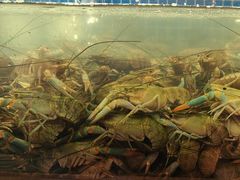 -冶建镜子·老南昌大排档·江西虾王(总店)