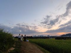 -光明小镇欢乐田园