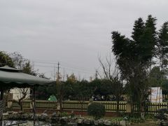 -洪湖家庭农场·团建·露营·会议