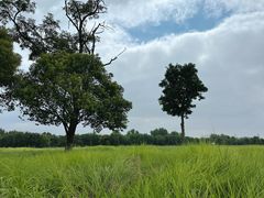 -汉长安城未央宫国家考古遗址公园
