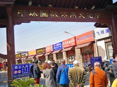 -中环花鸟鱼虫市场