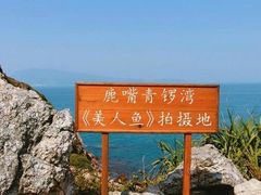 -杨梅坑