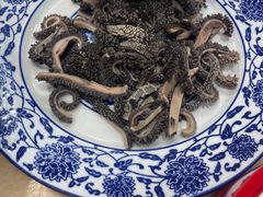 -吴记百姓菜馆·北京菜·烤鸭(故宫店)